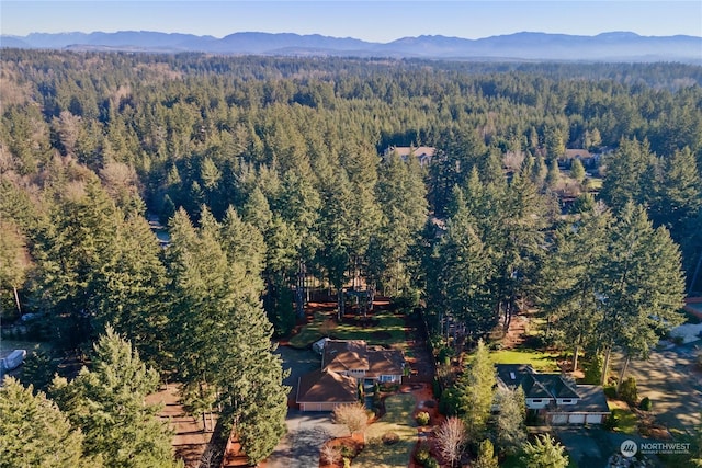 birds eye view of property featuring a mountain view