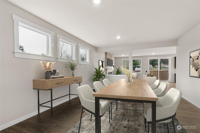 dining room featuring dark hardwood / wood-style flooring