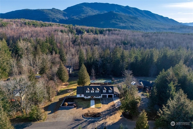 drone / aerial view with a mountain view