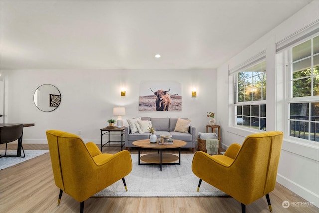 living room featuring light wood-type flooring