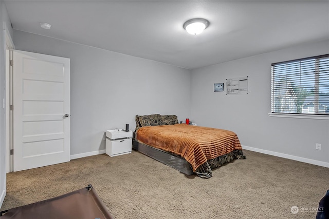 bedroom with carpet flooring