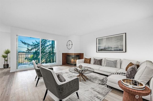 living room with hardwood / wood-style floors