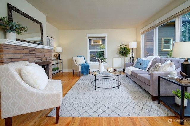 living room featuring wood-type flooring