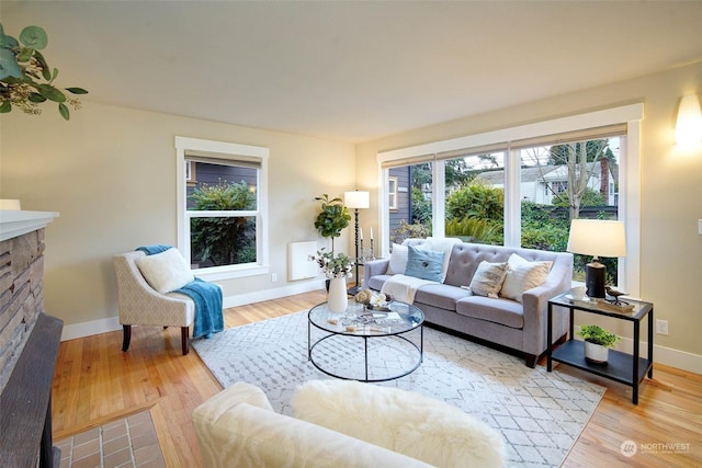 living room featuring a fireplace and light hardwood / wood-style flooring