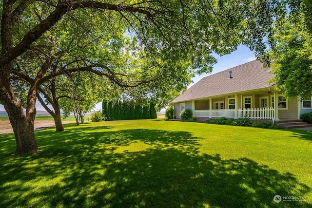 1503 U Rd SW, Quincy, WA 98848 - photo 10