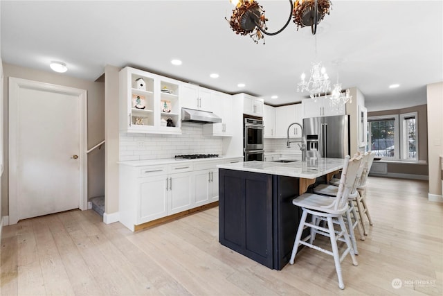 kitchen with light wood finished floors, tasteful backsplash, stainless steel appliances, under cabinet range hood, and a sink