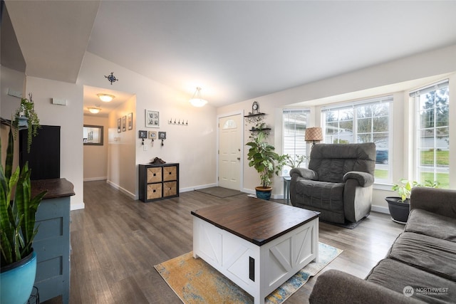 living room with dark wood-type flooring