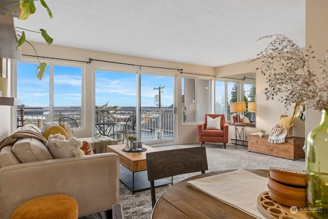 living room featuring carpet and a textured ceiling