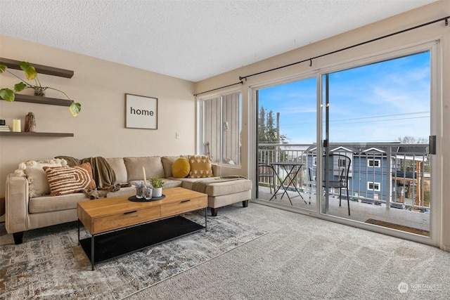 living room with carpet and a textured ceiling