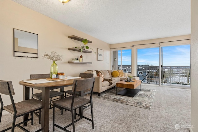 living room with carpet floors and a textured ceiling