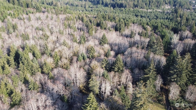 999 Grant Rd, Beaver, WA 98305 - photo 4