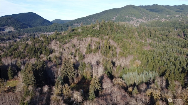 999 Grant Rd, Beaver, WA 98305 - photo 8