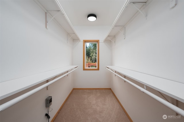 spacious closet with light colored carpet