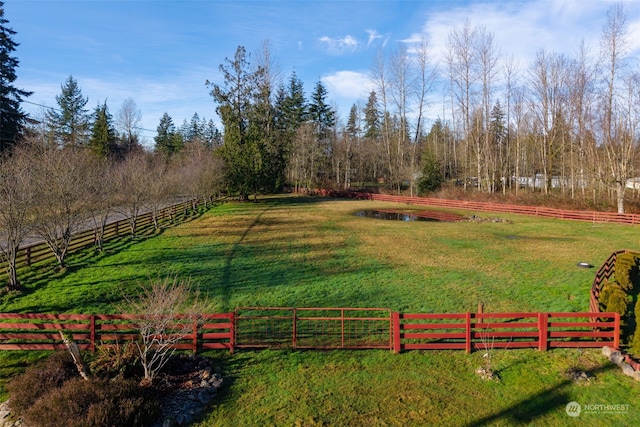 view of yard with a rural view