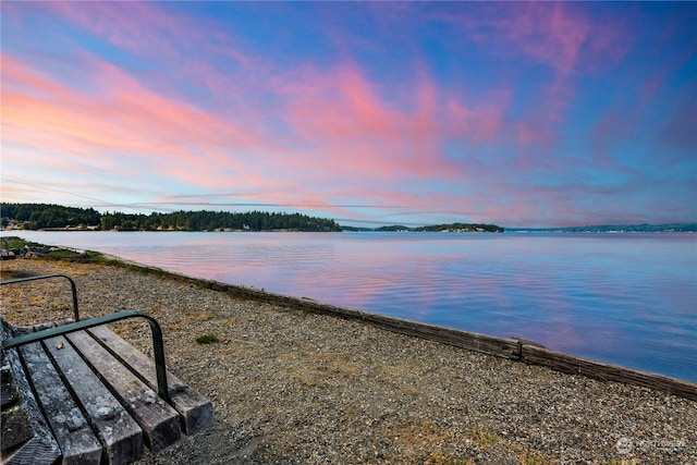 property view of water