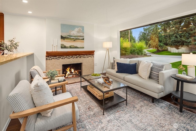 living room with light hardwood / wood-style flooring and a fireplace