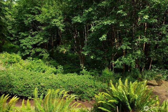 8917 SE Mcbreen Ln, Port Orchard, WA 98367 - view of woods