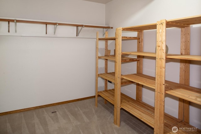 8917 SE Mcbreen Ln, Port Orchard, WA 98367 - view of storage area