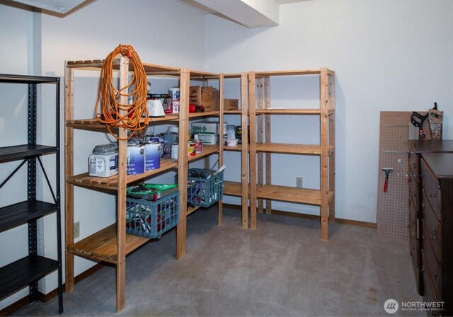 8917 SE Mcbreen Ln, Port Orchard, WA 98367 - view of storage room