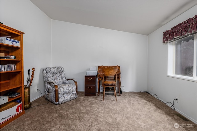 view of carpeted home office