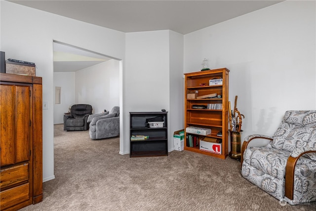 sitting room featuring carpet