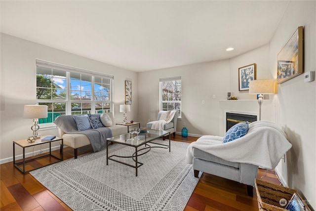 living room featuring hardwood / wood-style flooring and a wealth of natural light