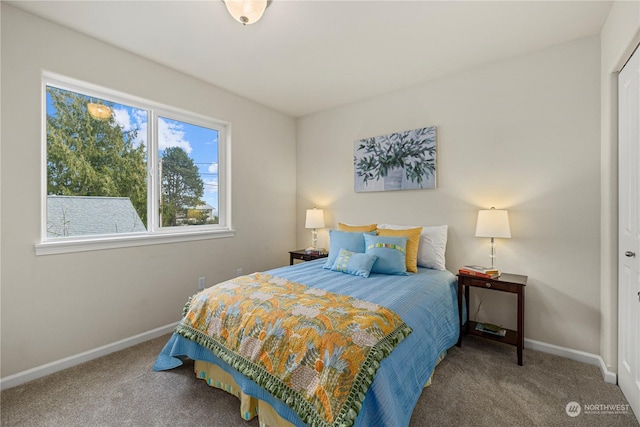 bedroom featuring carpet