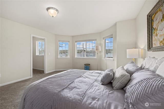 bedroom with carpet flooring