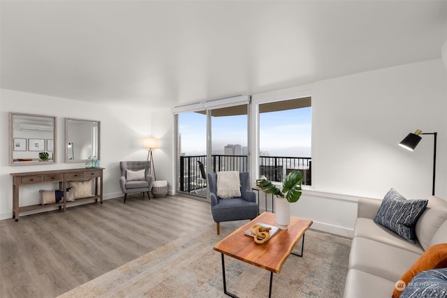 living room featuring light hardwood / wood-style floors