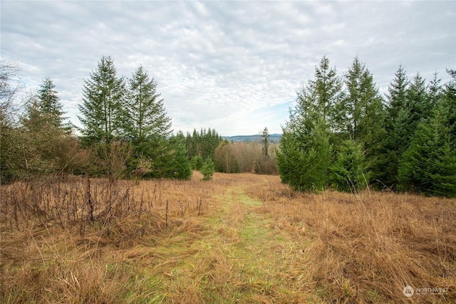 0 Burchett Rd, Onalaska WA, 98570 land for sale