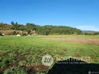 220 W Mossyrock, Mossyrock WA, 98564 land for sale