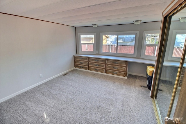 interior space featuring carpet floors and built in desk