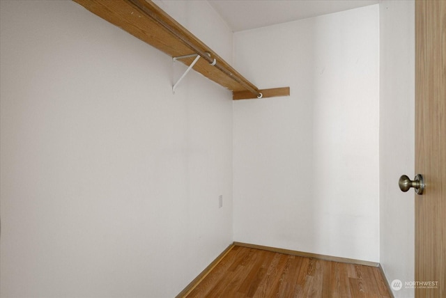 spacious closet featuring wood-type flooring