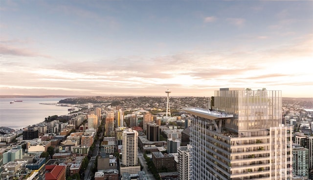 property's view of city featuring a water view