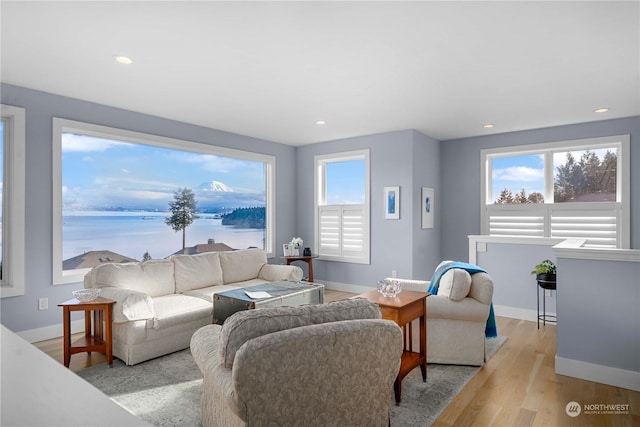 living room with a water view and light hardwood / wood-style flooring