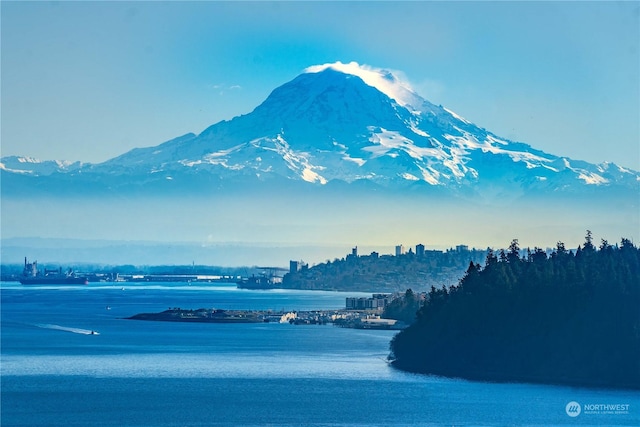 water view featuring a mountain view