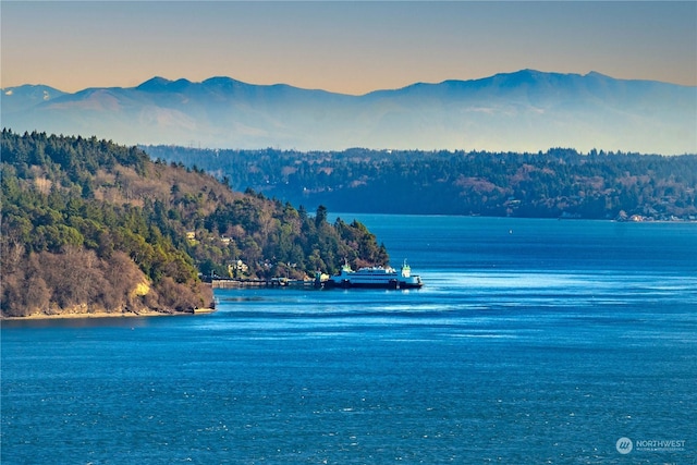 water view with a mountain view