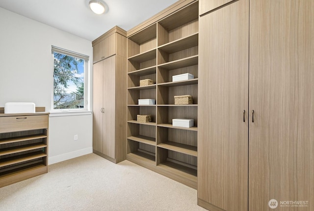 walk in closet featuring light colored carpet