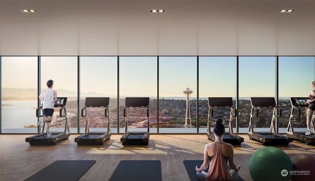 gym featuring hardwood / wood-style floors