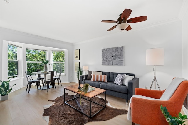 living room featuring ceiling fan, light hardwood / wood-style flooring, and crown molding