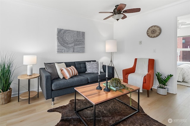 living room featuring ceiling fan, light wood-type flooring, and crown molding