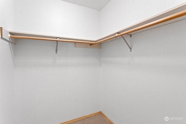 walk in closet with carpet