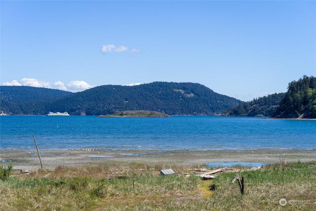 property view of water with a mountain view