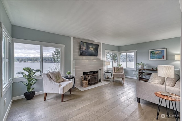 living room with light hardwood / wood-style floors and a wood stove