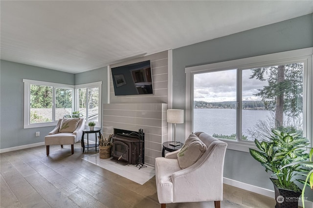 living area with hardwood / wood-style floors and a wood stove