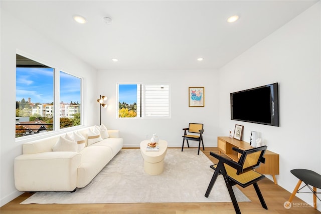 living room with light hardwood / wood-style flooring