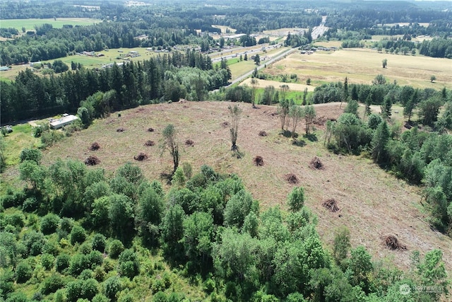 334 State Route 506, Toledo WA, 98591 land for sale