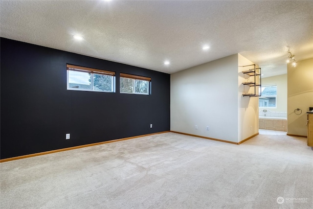 carpeted empty room featuring a textured ceiling and a wealth of natural light