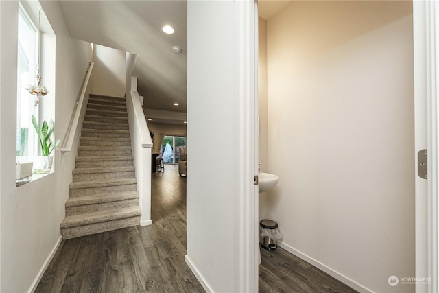 stairs featuring plenty of natural light and hardwood / wood-style flooring