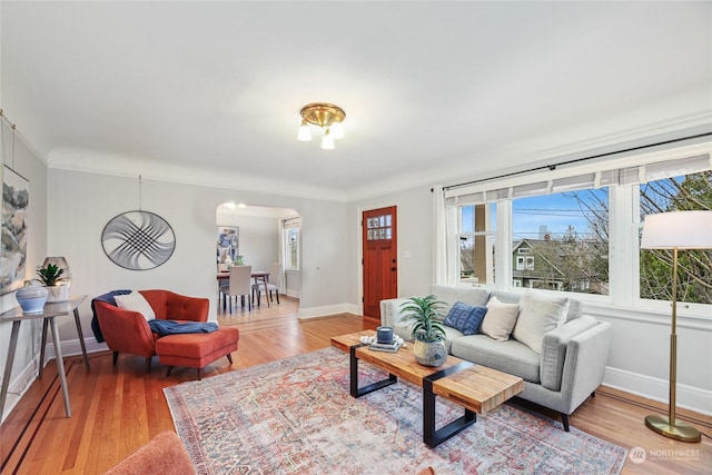 living room featuring crown molding and hardwood / wood-style flooring